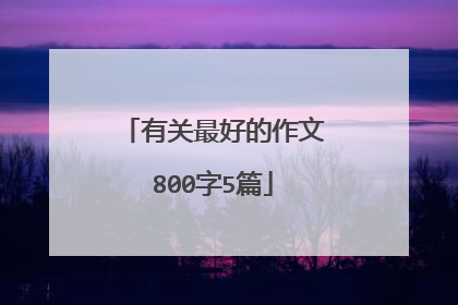 有关最好的作文800字5篇