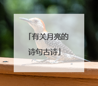 有关月亮的诗句古诗