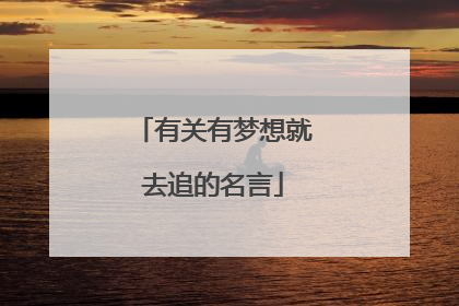 有关有梦想就去追的名言