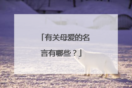 有关母爱的名言有哪些?