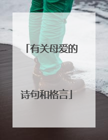 有关母爱的诗句和格言
