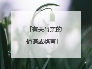 有关母亲的俗语或格言