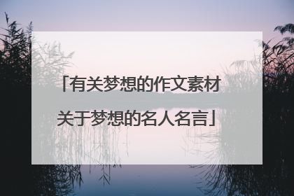 有关梦想的作文素材 关于梦想的名人名言