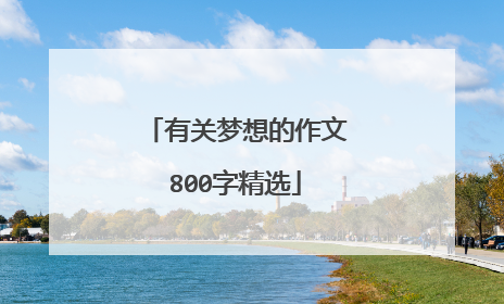 有关梦想的作文800字精选