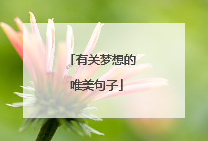 有关梦想的唯美句子