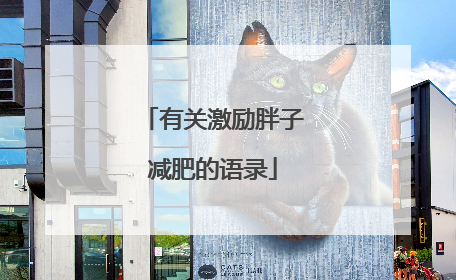 有关激励胖子减肥的语录