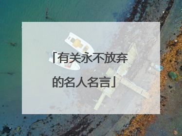 有关永不放弃的名人名言