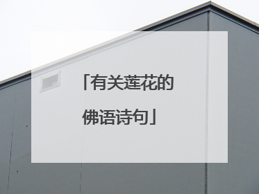 有关莲花的佛语诗句