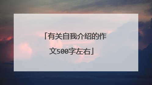 有关自我介绍的作文500字左右