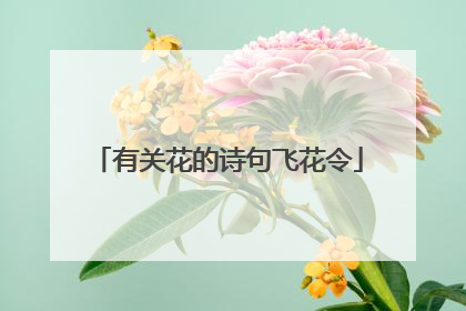 有关花的诗句飞花令