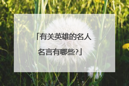 有关英雄的名人名言有哪些?
