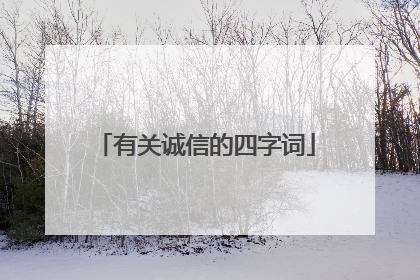 有关诚信的四字词