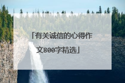 有关诚信的心得作文800字精选