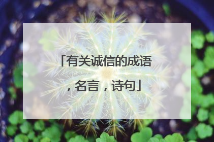 有关诚信的成语,名言,诗句