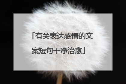 有关表达感情的文案短句干净治愈
