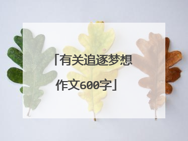 有关追逐梦想作文600字