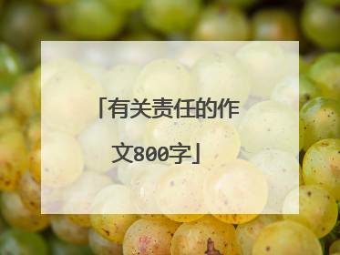 有关责任的作文800字