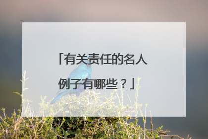 有关责任的名人例子有哪些?
