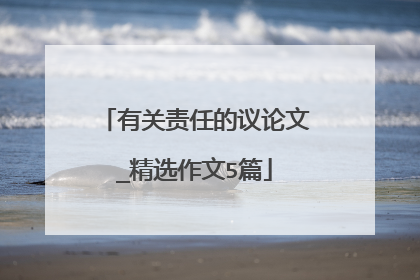 有关责任的议论文_精选作文5篇