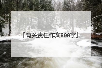 有关责任作文800字