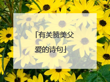 有关赞美父爱的诗句
