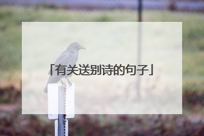 有关送别诗的句子
