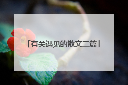 有关遇见的散文三篇