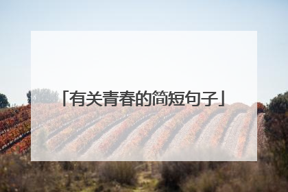 有关青春的简短句子