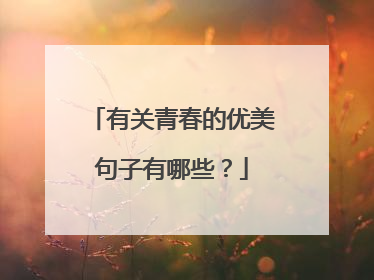 有关青春的优美句子有哪些?