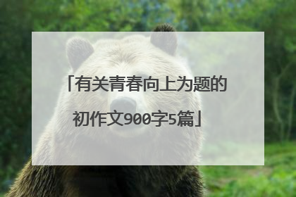 有关青春向上为题的初作文900字5篇
