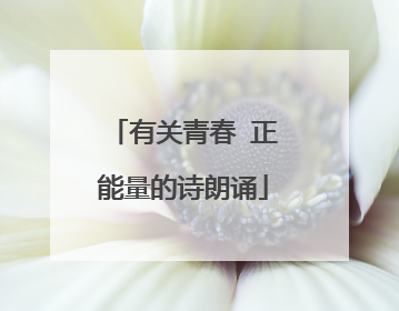 有关青春 正能量的诗朗诵
