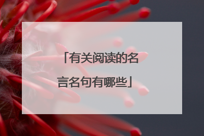 有关阅读的名言名句有哪些