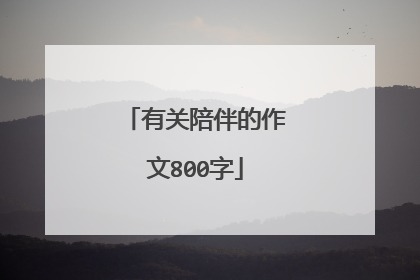 有关陪伴的作文800字