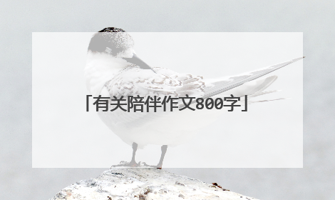 有关陪伴作文800字