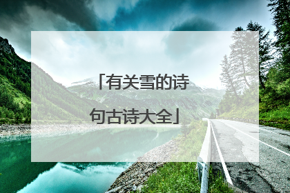 有关雪的诗句古诗大全
