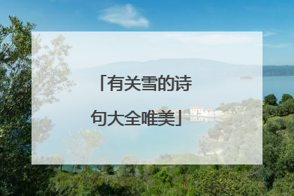 有关雪的诗句大全唯美