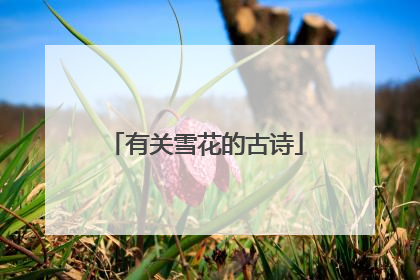 有关雪花的古诗