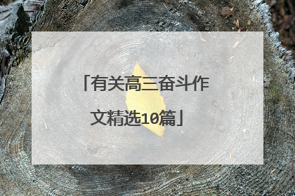 有关高三奋斗作文精选10篇