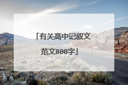 有关高中记叙文范文800字