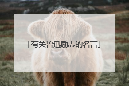 有关鲁迅励志的名言