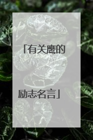 有关鹰的励志名言