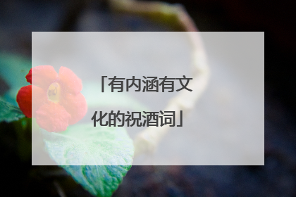 有内涵有文化的祝酒词