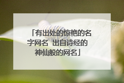 有出处的惊艳的名字网名 出自诗经的神仙般的网名