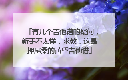 有几个吉他谱的疑问,新手不太懂,求教,这是押尾桑的黄昏吉他谱