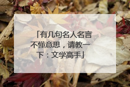 有几句名人名言不懂意思,请教一下:文学高手