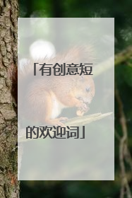 有创意短的欢迎词