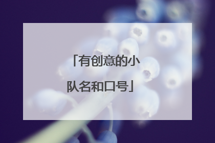 有创意的小队名和口号