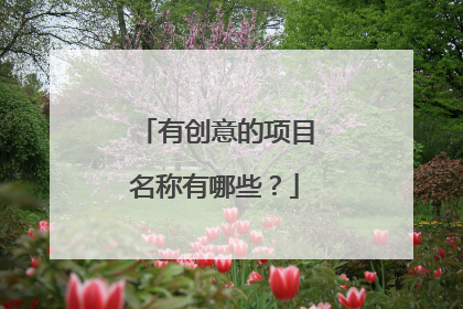 有创意的项目名称有哪些？