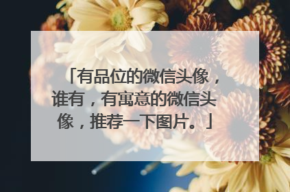 有品位的微信头像,谁有,有寓意的微信头像,推荐一下图片。