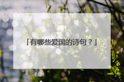 有哪些爱国的诗句？